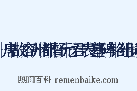 唐故容州都督元君表墓碑铭组词是什么意思的图片